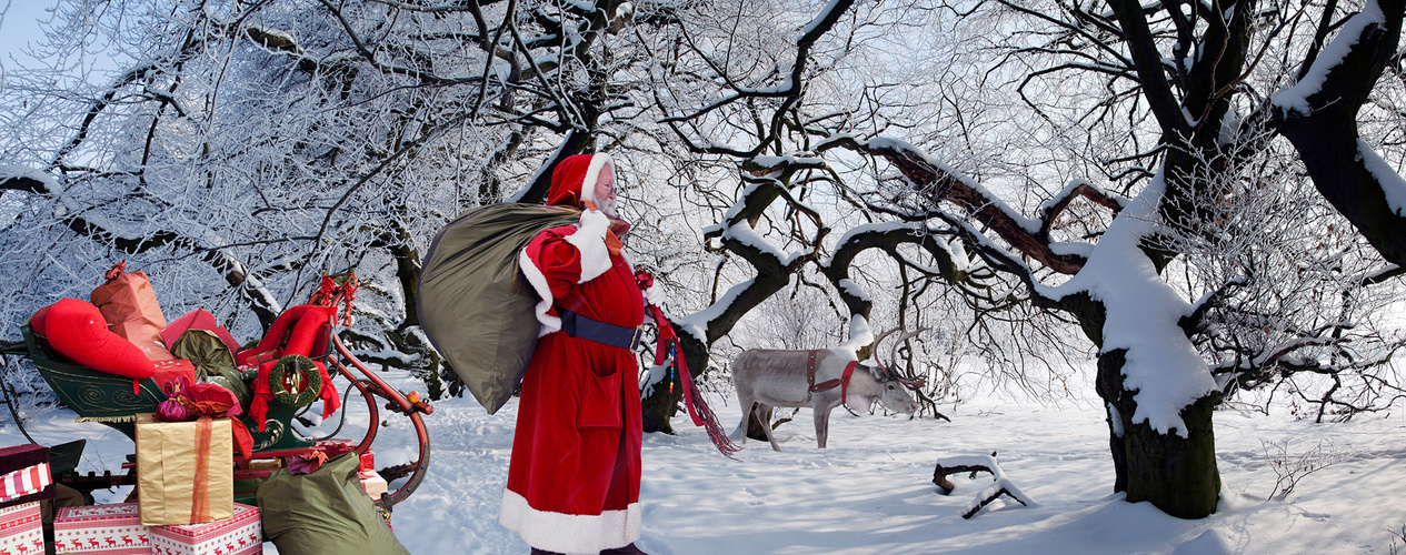 Weihnachtsmann im Zauberwald