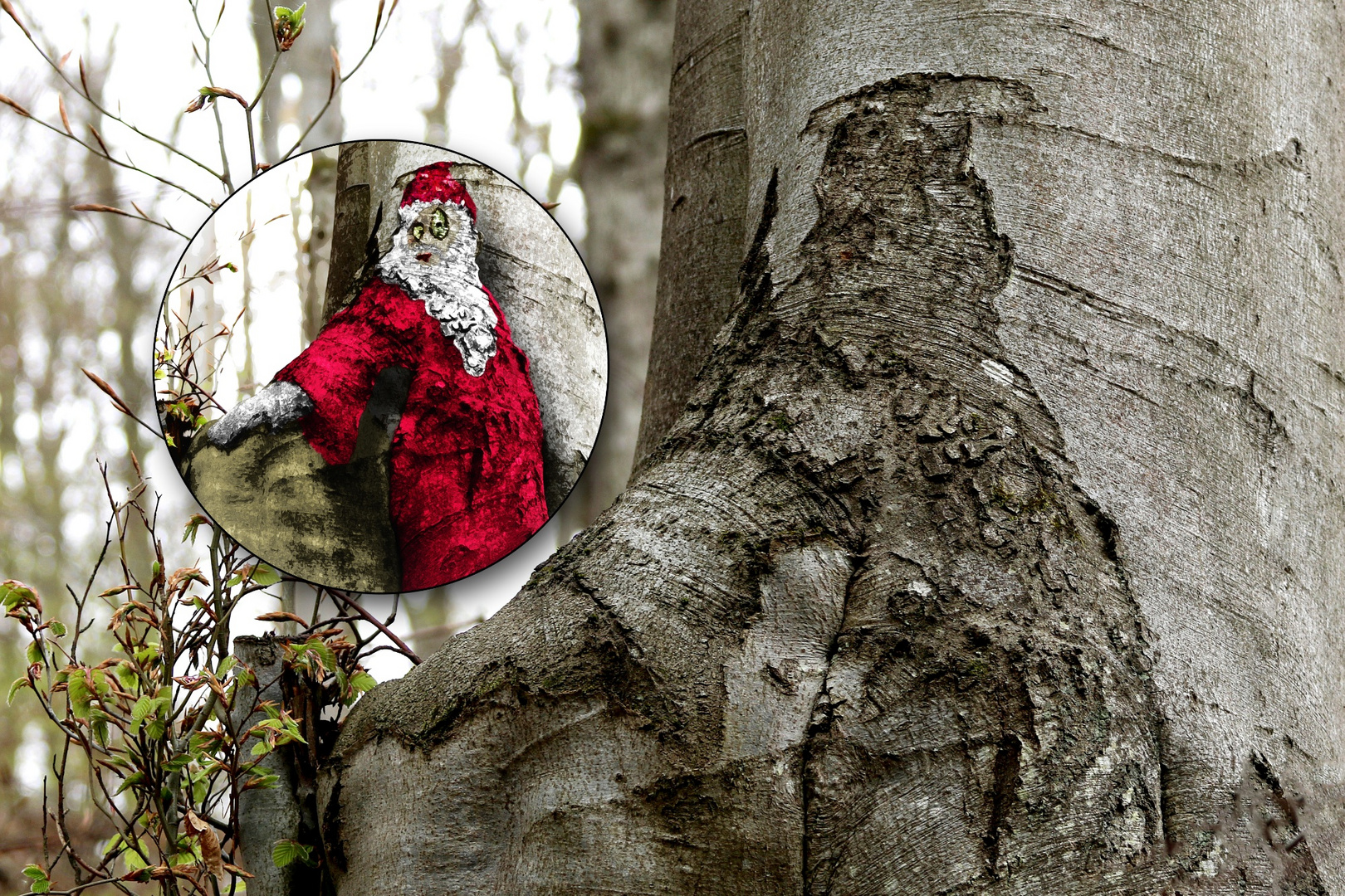 WEIHNACHTSMANN - NaturPurArt - BaumGestalt