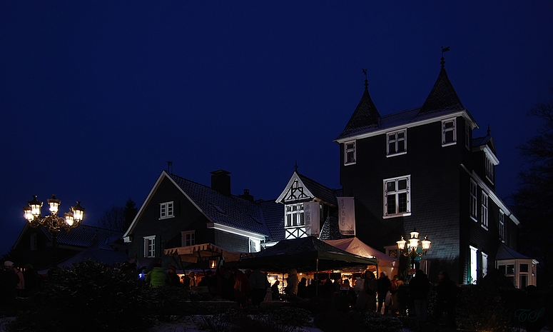 Weihnachtsmarkt am Schloss Grünewald I