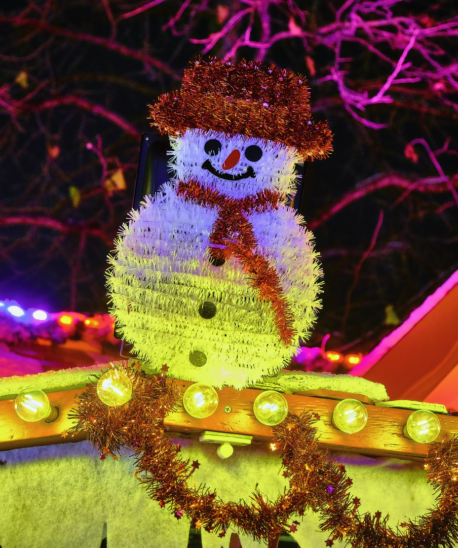 Weihnachtsmarkt Hildesheim (2)