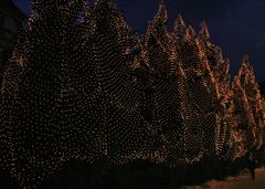 Weihnachtsmarkt in Goslar V