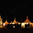 Weihnachtsmarkt Park & Schloß Branitz