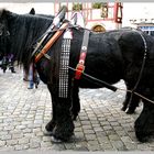 Weihnachtsmarkt-Tradition