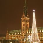 Weihnachtsmarkt@Rathaus #2