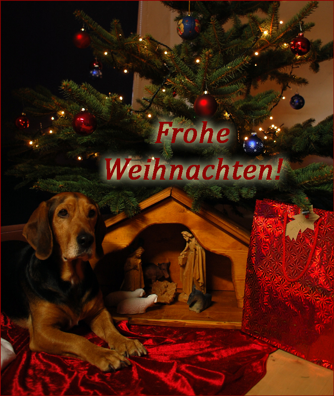 Weihnachtsmerlin