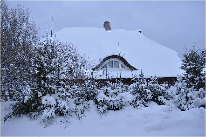 Weihnachtsmorgen