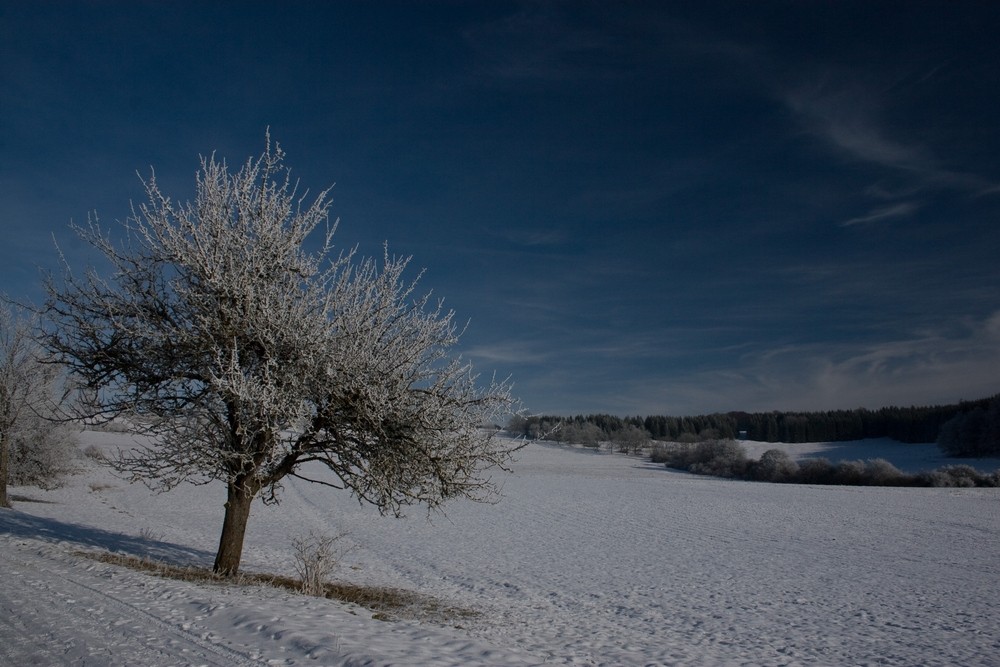 Weihnachtsmorgen