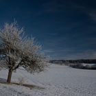 Weihnachtsmorgen