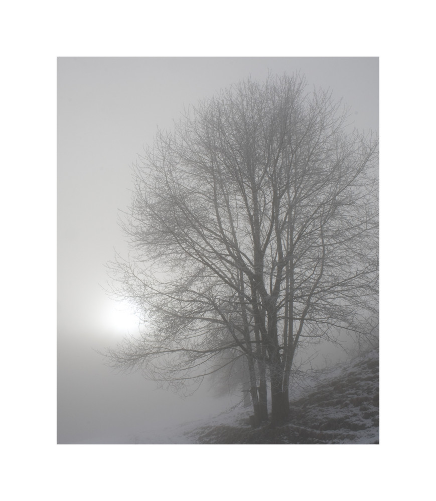 [WEIHNACHTSNEBEL]