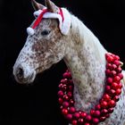 Weihnachtspferd