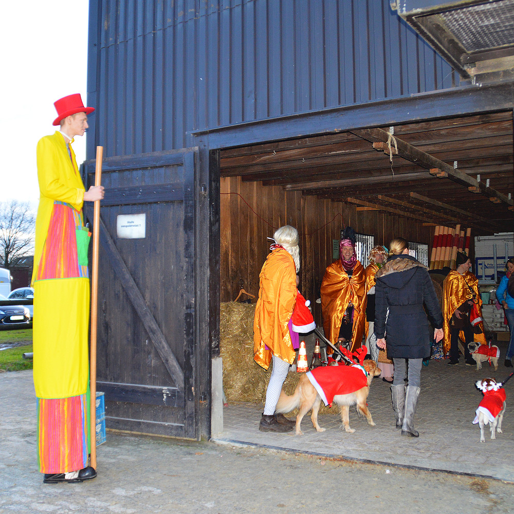 Weihnachtsreiten - Zauberer Alex und der Doggy-Club