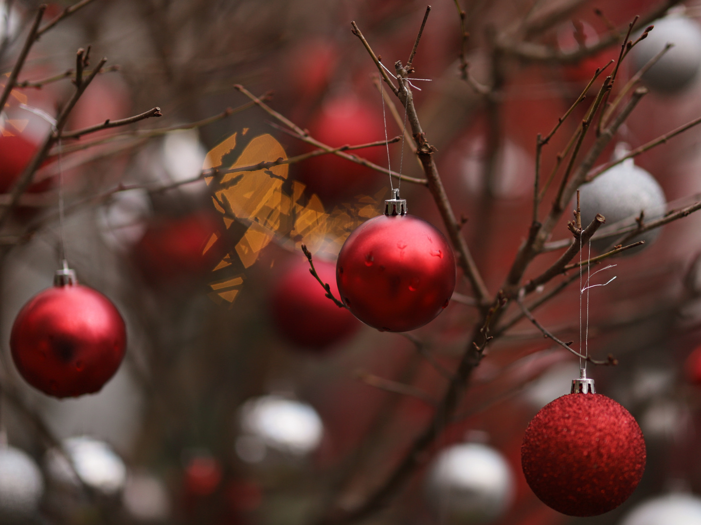 Weihnachtsschmuck (2018_12_08_EOS 6D Mark II_9402_ji)