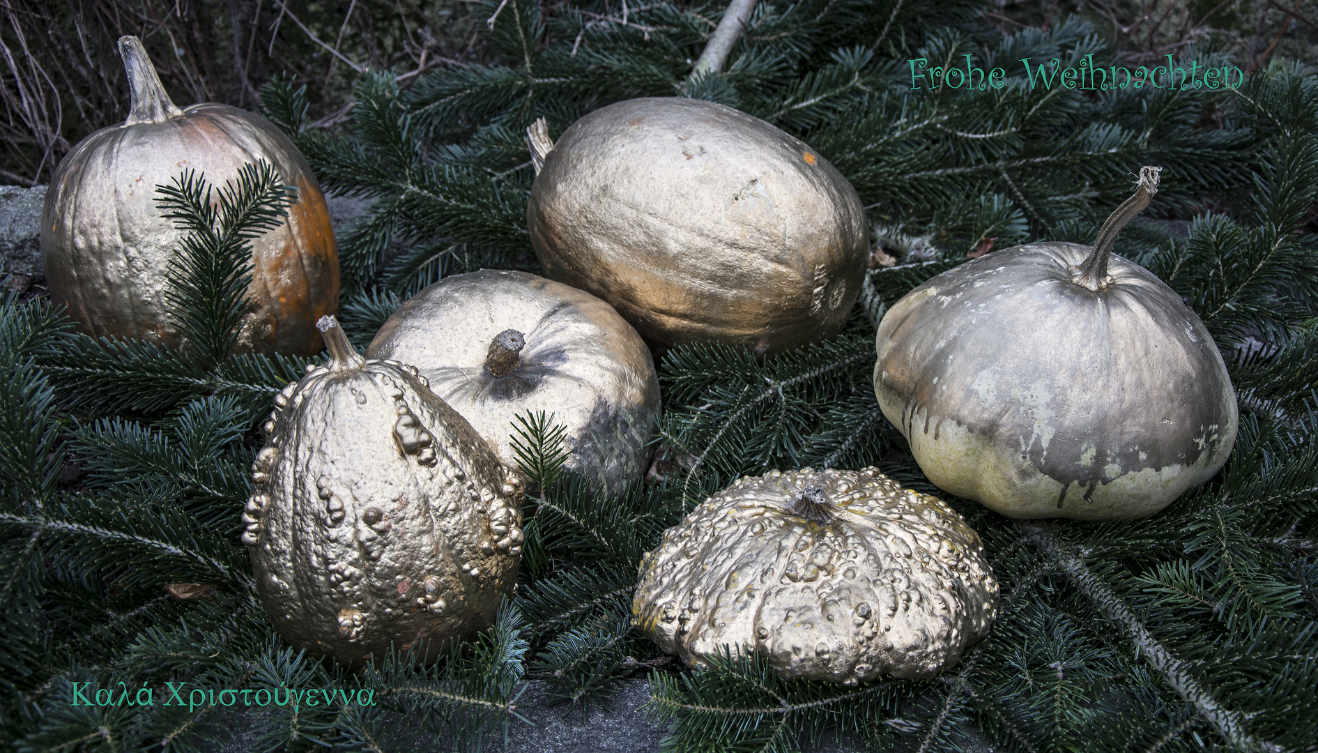 weihnachtsschmuck im botanischen garten