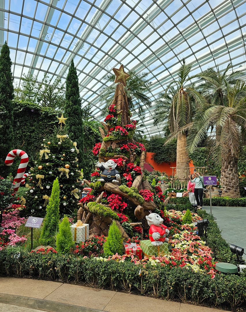 Weihnachtsschmuck im Flower Dome