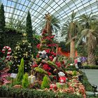 Weihnachtsschmuck im Flower Dome