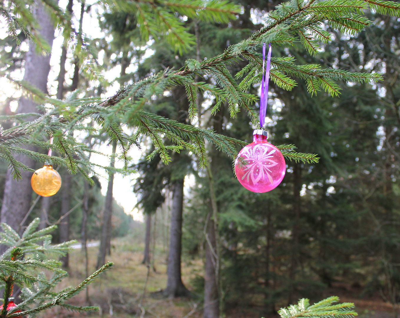 Weihnachtsschmuck im Wald
