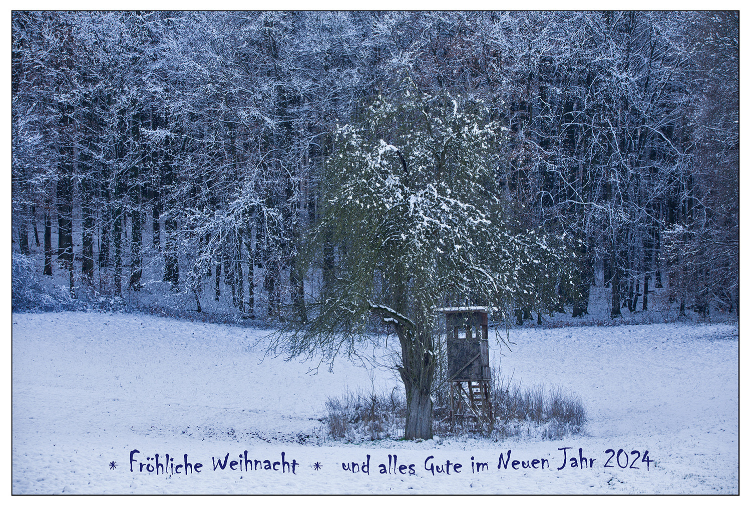 Weihnachtsschnee :-)