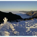 Weihnachtssparziergang - Heimweg