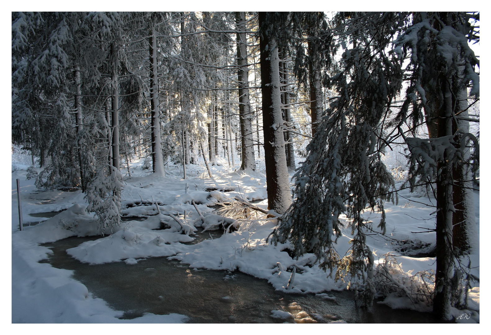 Weihnachtsspaziergang