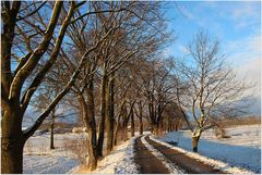 Weihnachtsspaziergang