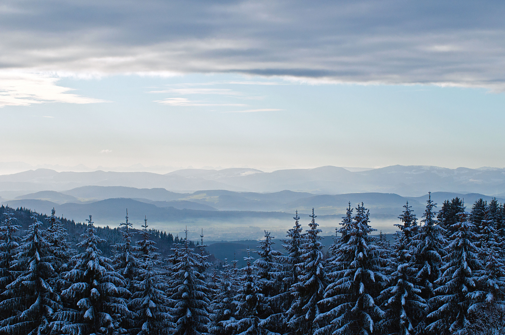 Weihnachtsspaziergang