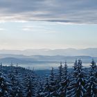 Weihnachtsspaziergang