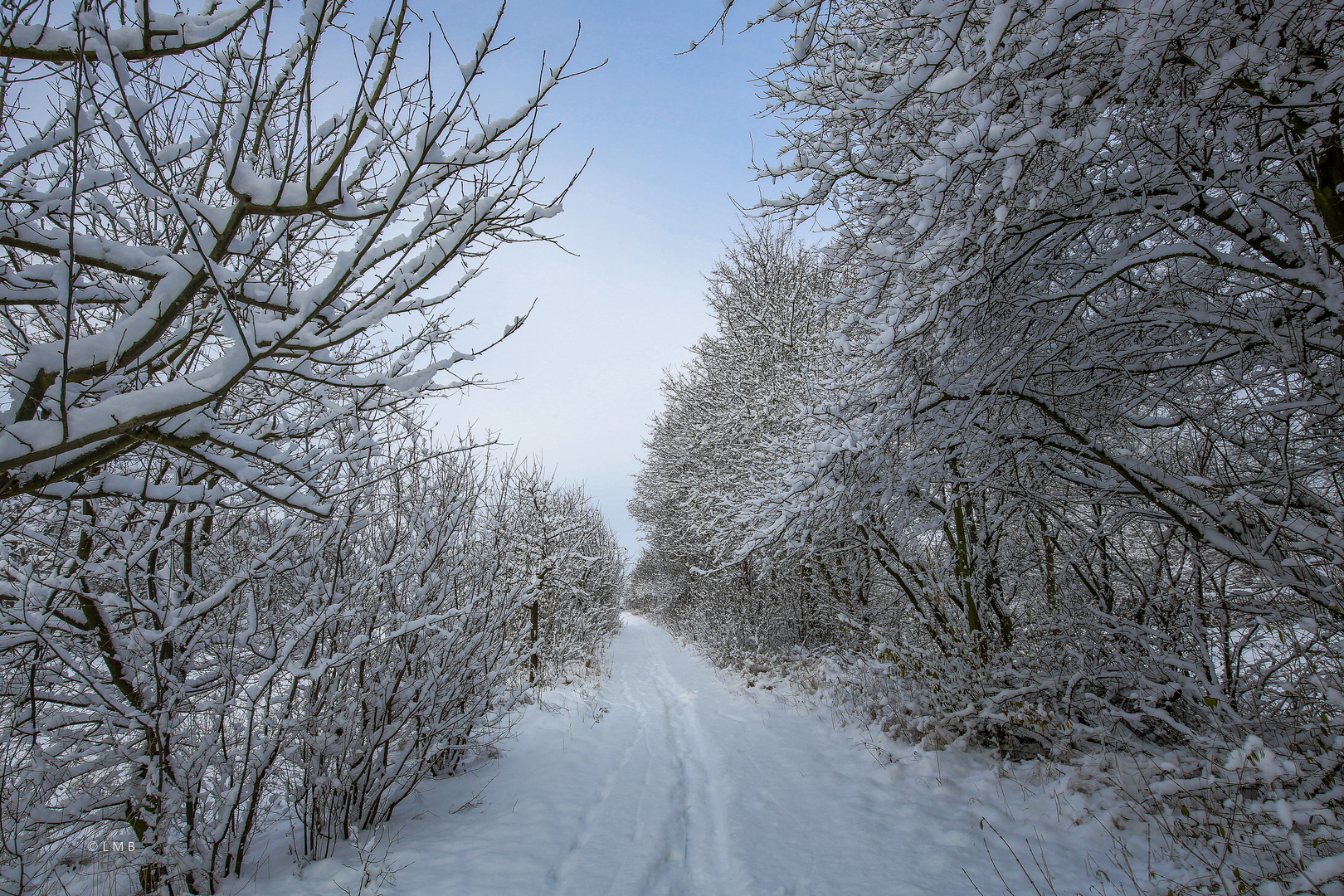 Weihnachtsspaziergang