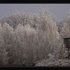 Weihnachtsspaziergang