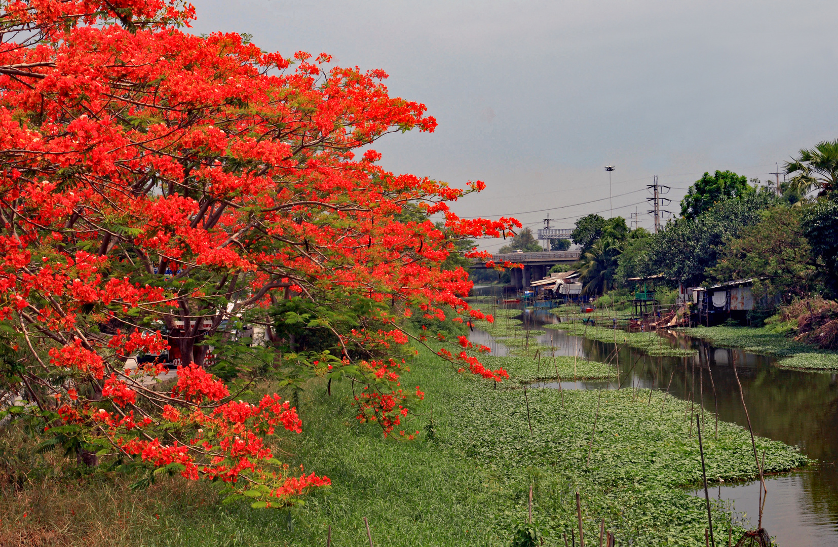 Weihnachtsspaziergang am Khlong