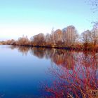 Weihnachtsspaziergang am See