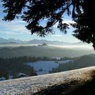 Weihnachtsspaziergang am Waldrand