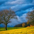 Weihnachtsspaziergang bei Aprilwetter