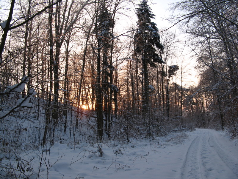 ...Weihnachtsspaziergang...