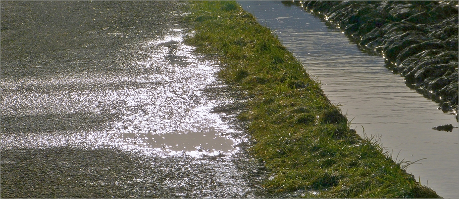 Weihnachtsspaziergang**