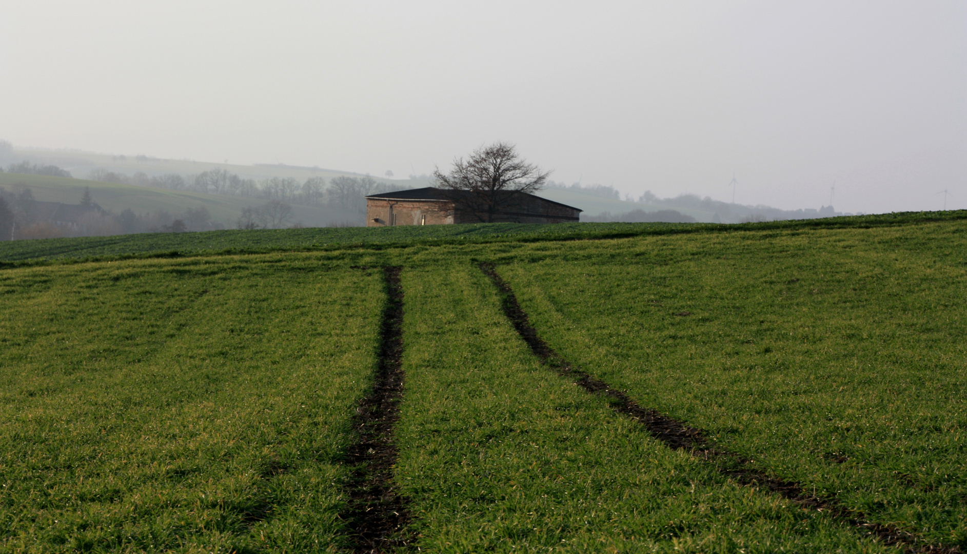 Weihnachtsspaziergang Mügeln/Sachsen