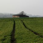 Weihnachtsspaziergang Mügeln/Sachsen