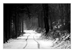 Weihnachtsspaziergang trist - aber trotzdem schön!