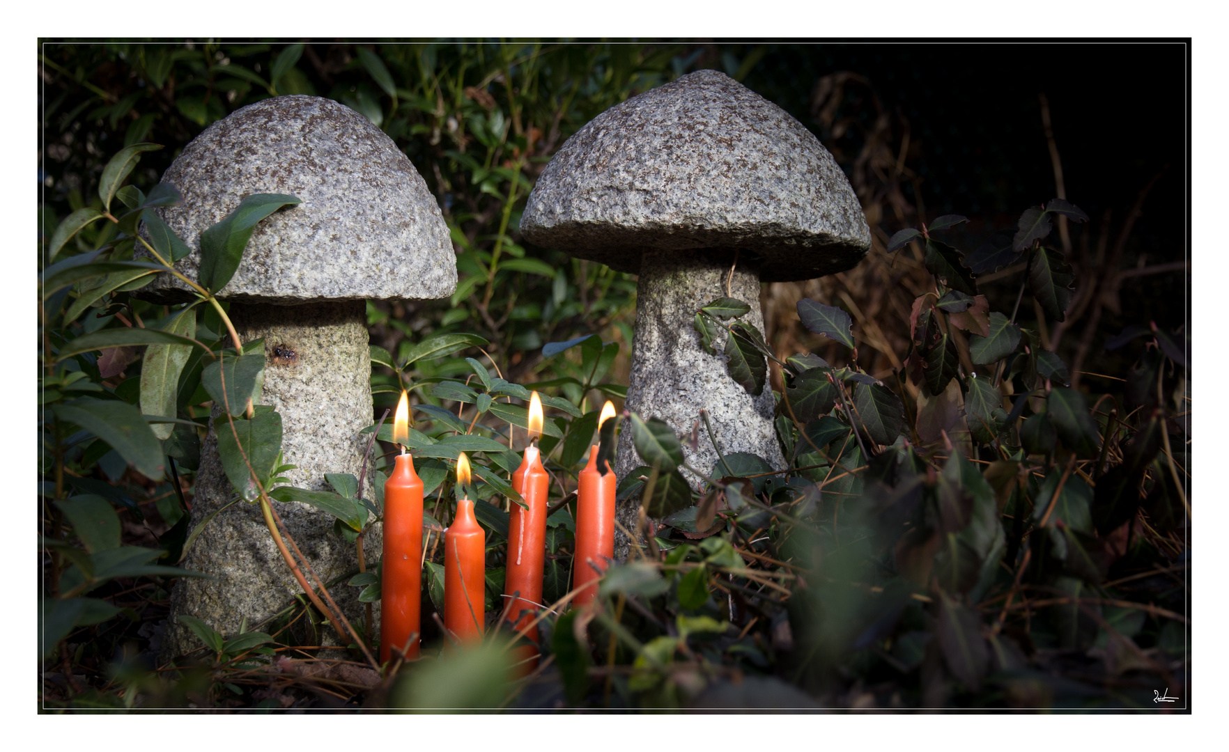 Weihnachtssteinpilz :-)