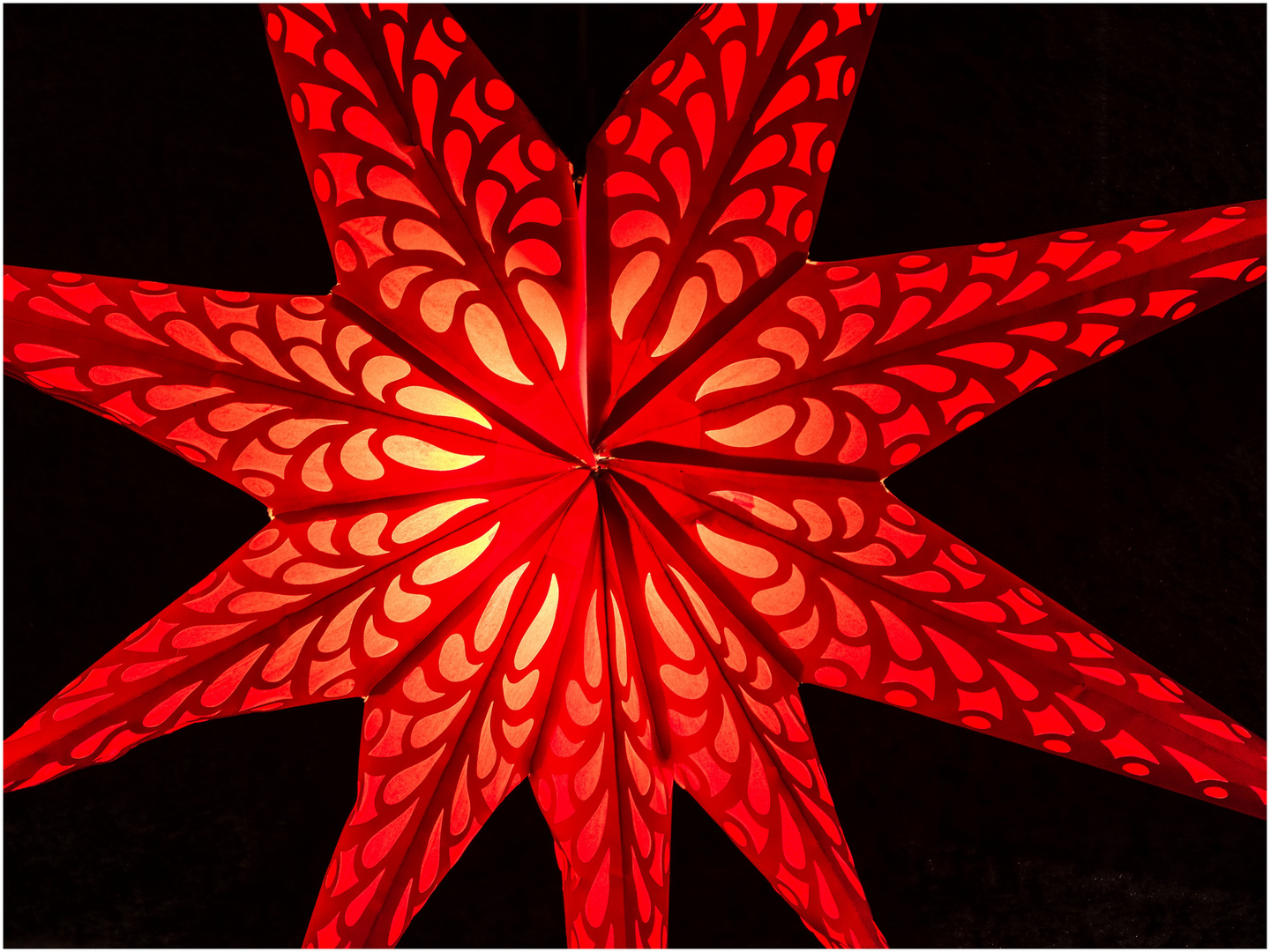 Weihnachtsstern Foto & Bild weihnachtsmarkt, hessen, deutschland