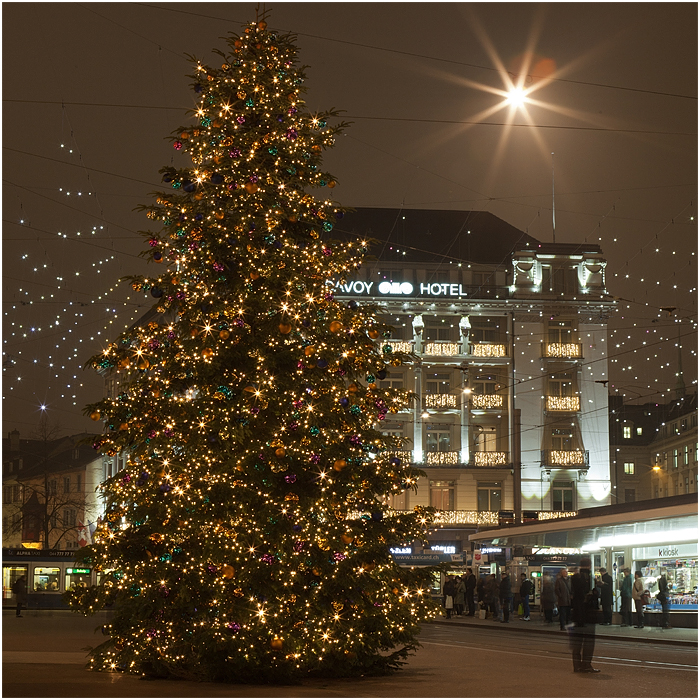 Weihnachtsstern