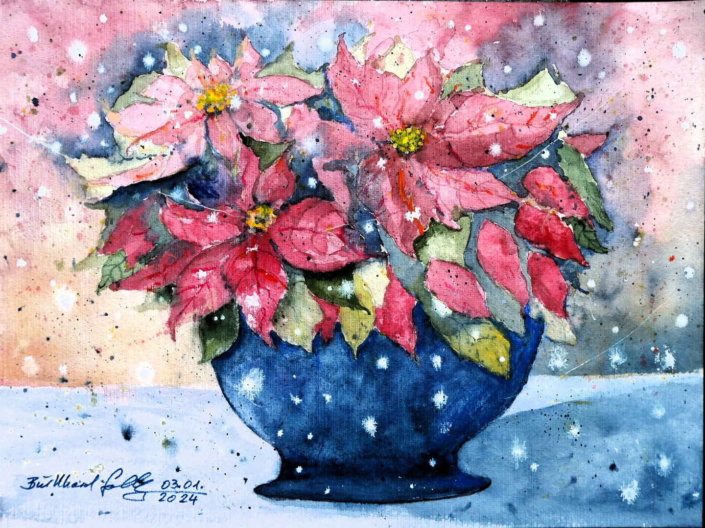 Weihnachtsstern (Euphorbia pulcherrima) in blauem Keramik-Topf