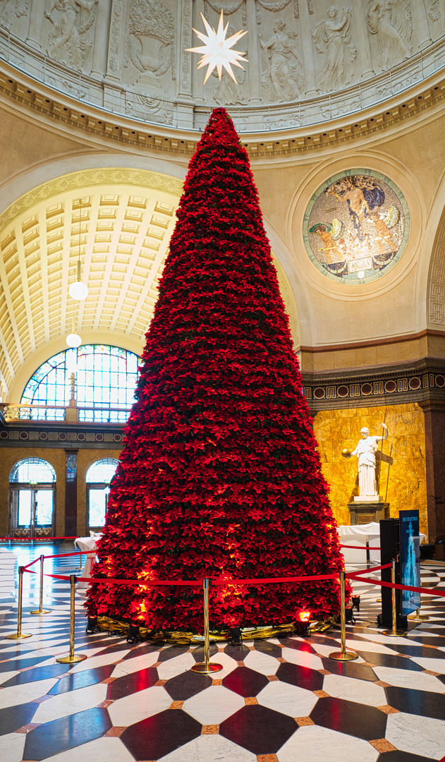 Weihnachtssternbaum Kurhaus Wiesbaden Foto & Bild kultur, fotos