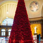 Weihnachtssternbaum Kurhaus Wiesbaden