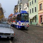 Weihnachtssterne am Altmarkt