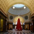 Weihnachtssterne im Foyer des Kurhauses