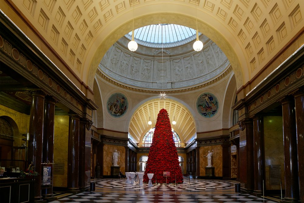 Weihnachtssterne im Foyer des Kurhauses