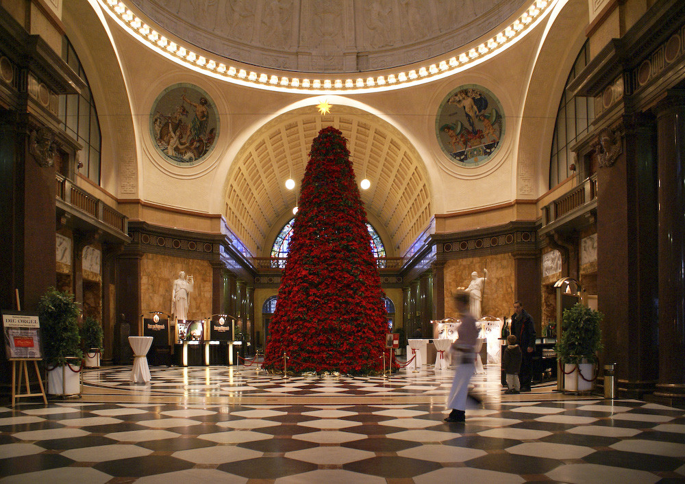 Weihnachtssterne im Kurhaus von Wiesbaden