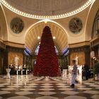 Weihnachtssterne im Kurhaus von Wiesbaden