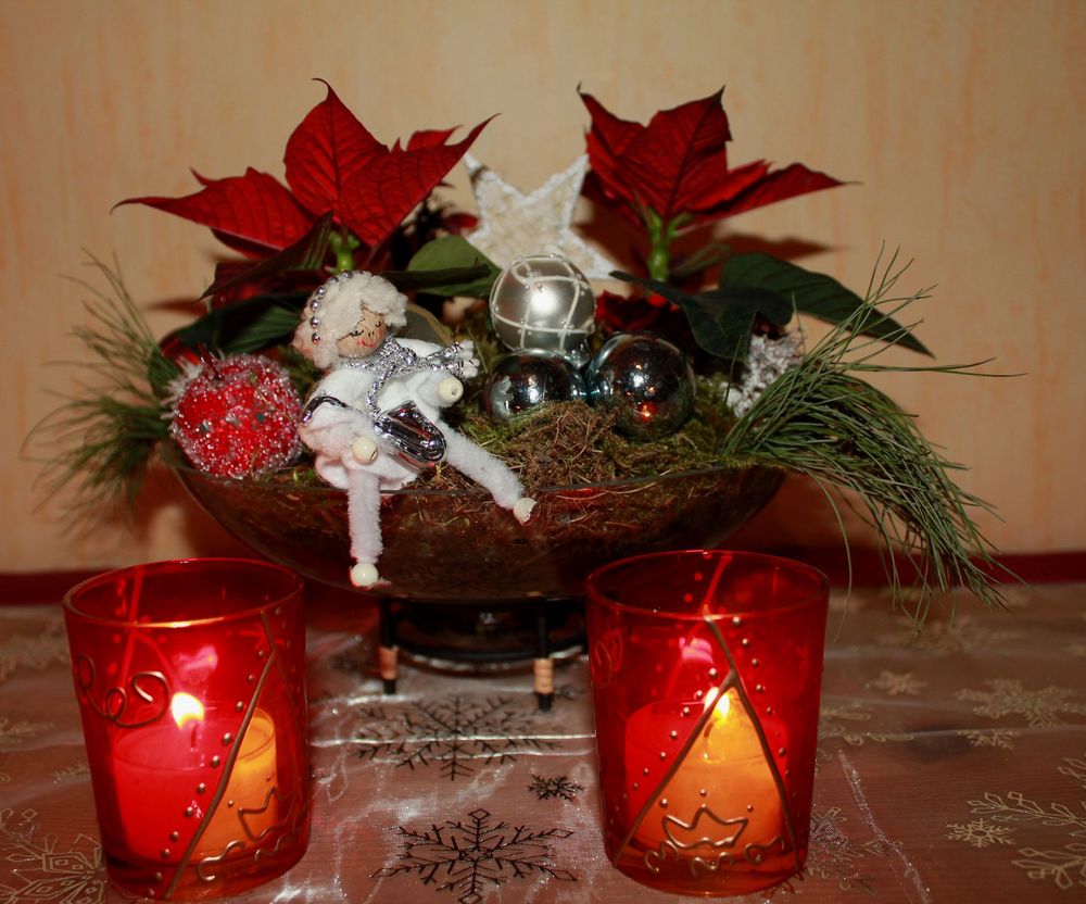 Weihnachtssterngesteck Foto Bild Gratulation Und