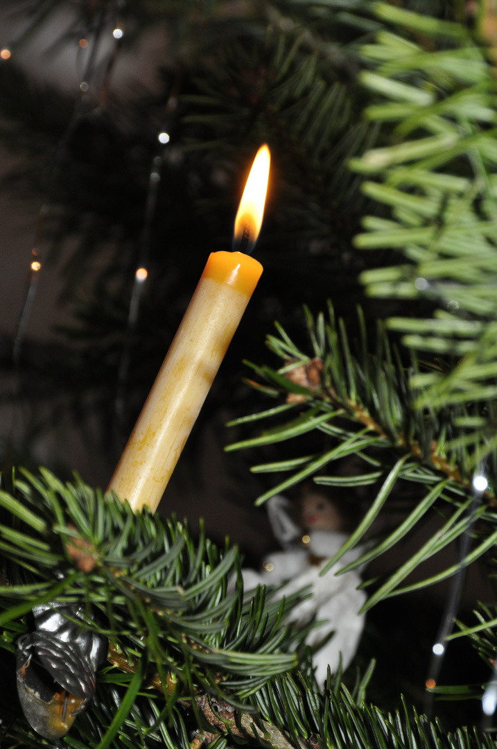 Weihnachtsstimmung am Tannenbaum